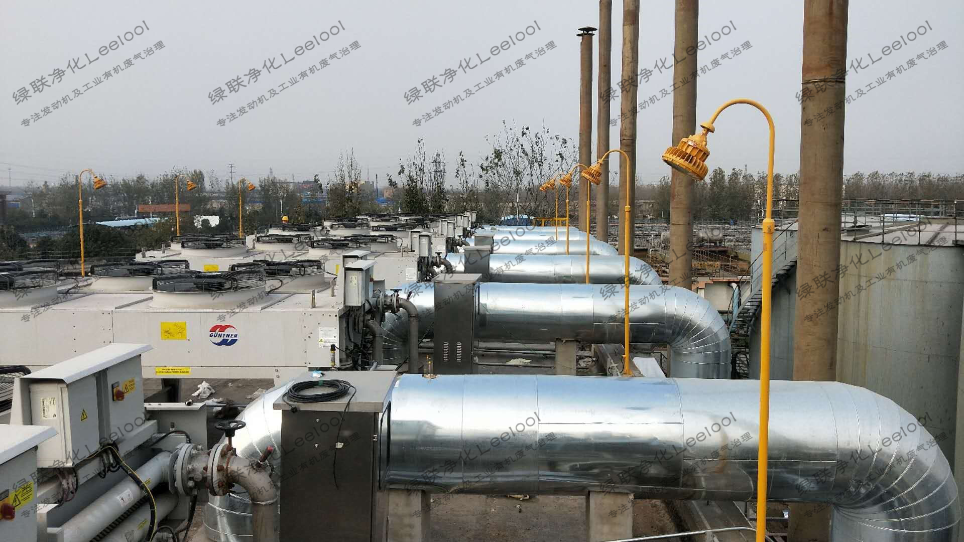 1587376293568031.jpg 1587376293568031.jpg